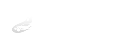沈陽(yáng)租車網(wǎng)